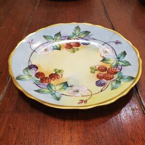 Antique G. Demartine & CIE Avenir Limoges (1884-1906) China hand-painted plate